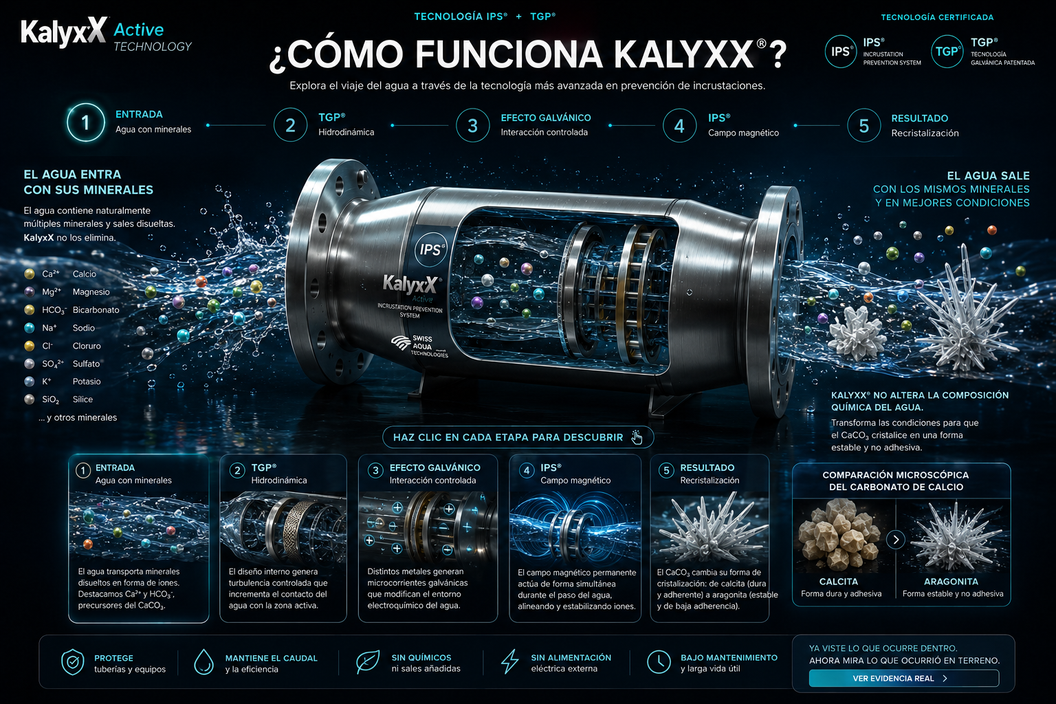 Visual interactivo del proceso KalyxX Active: minerales disueltos, TGP, efecto galvánico, IPS y recristalización